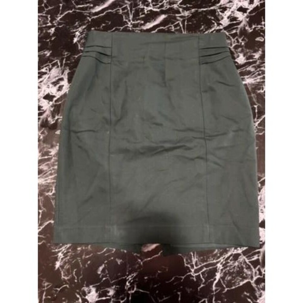 Express Pencil skirt